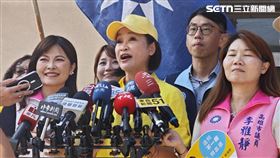 柯志恩,柯建銘,柯文哲,國民黨,民進黨,旗津,高雄,市長