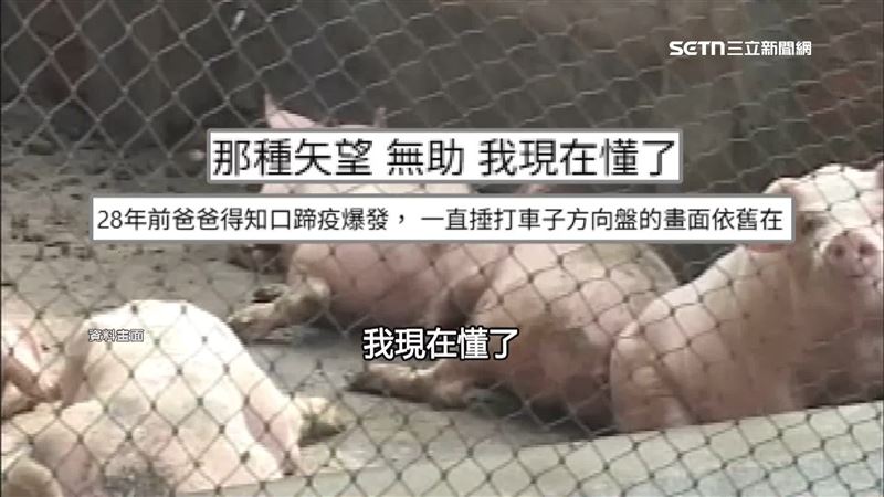 豬農在臉書沉痛發文,28年前口蹄疫父親絕望捶車的心情,現在他懂了。(圖/翻攝臉書)