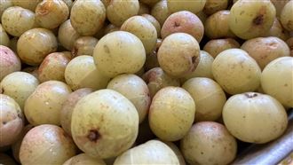 維生素C多檸檬20倍　醫讚1冷門水果抗發炎