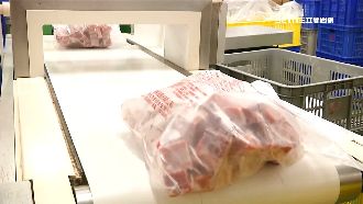 出口新加坡喊卡!14公噸豬肉急拖回