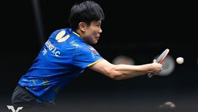 台灣桌球一姐鄭怡靜。（圖／翻攝自WTT官網）