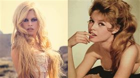 91歲有「性感小野貓」封號的法國傳奇女星碧姬芭杜（圖／翻攝自X平台 @brigitte_bardot）