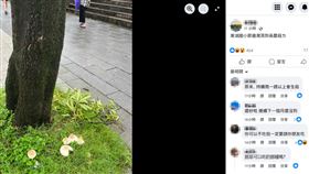 東湖國小,高雄鳳山區,桃園,台北市,高雄市,內湖區,香菇,網友,生菇,季風,我是東湖人,臉書（圖／翻攝自我是東湖人臉書社團）