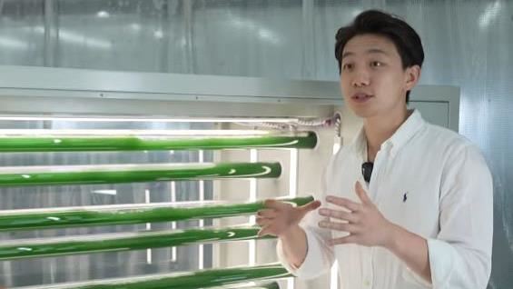 投身藻類生物科技　生醫準博士愛上台灣