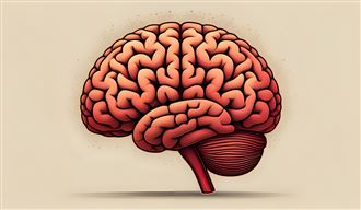 55歲=腦力最強期！「4事」大腦越活越年輕