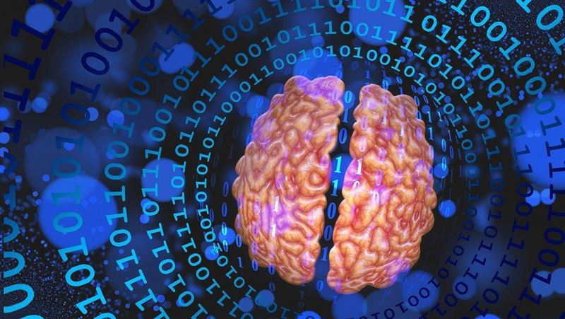 不是老化！常吃1食物傷腦 失智風險增44％