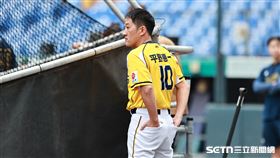 台灣大賽G5，中信兄弟總教練平野惠一觀看球員賽前打擊練習。（圖／記者劉彥池攝影）