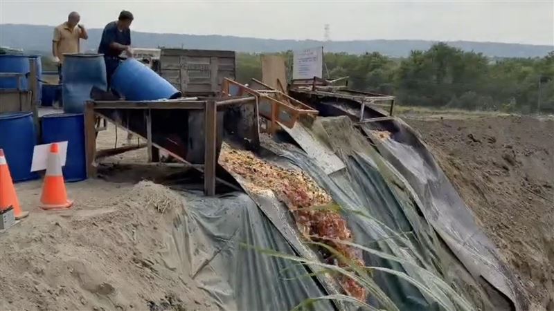 台中處理廚餘畫面曝光!江和樹他痛批:這種「挖坑埋廚餘」的作法早已落伍,也充滿防疫風險。(圖/江和樹提供)