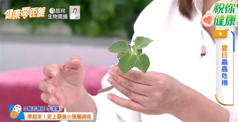 家裡廚房常出現蟑螂?中醫芳療師李淳廉教2招,不只滅蟑,還能驅趕蜘蛛。(圖翻攝自/健康零距離)