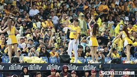 台灣大賽G5，中信兄弟應援團長小白帶領球迷應援。（圖／記者劉彥池攝影）