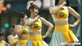 台灣大賽G5，PS女孩峮峮帶領球迷應援。（圖／記者劉彥池攝影）