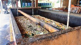 盧秀燕防疫警鐘！一態度曝藍營內部矛盾