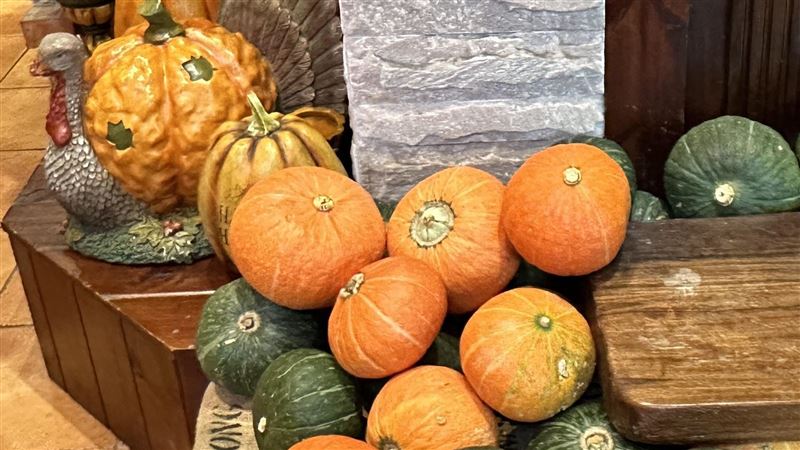 在家中布置萬聖節裝飾,應儘量以南瓜、月亮、貓頭鷹、可愛設計的卡通等比較適合。(圖/楊登嵙提供)