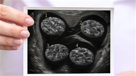 達美樂,喜事(圖／達美樂提供）