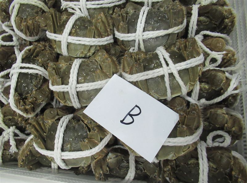 農藥超標!好市多1水果18公噸全銷毀 中國中華絨螯蟹驗出禁藥。(圖/食藥署)