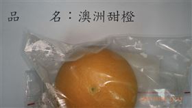 好市多「1水果」爆農藥超標！18公噸全銷毀　中國大閘蟹驗出禁藥（圖／食藥署）