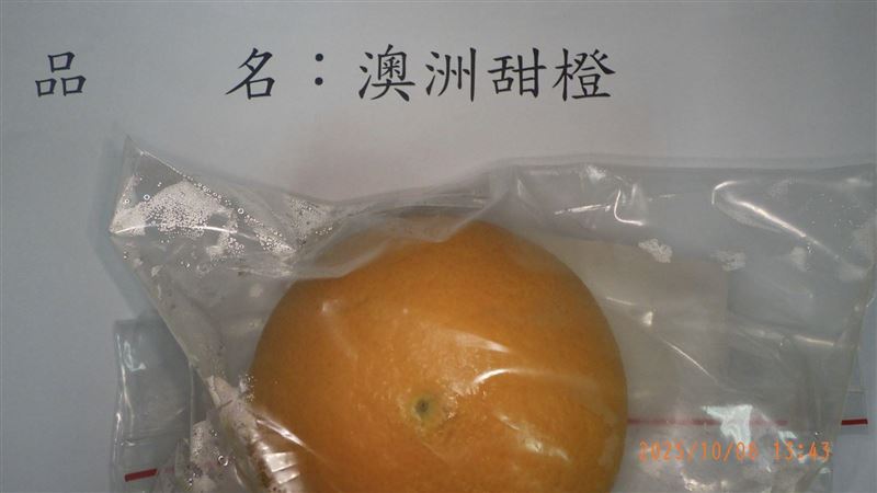 農藥超標!好市多1水果18公噸全銷毀 5324905 PH