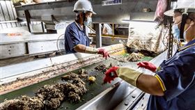 台南市長黃偉哲今（28）日前往城西廚餘高速發酵廠視察，強調市府已全面啟動防疫措施，確保廚餘收運與去化過程穩定、安全無虞。（圖／翻攝自黃偉哲臉書）