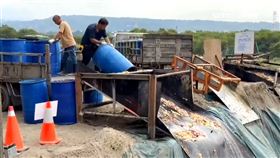 霧峰廚餘湖1200。廚餘湖，台中，非洲豬瘟。