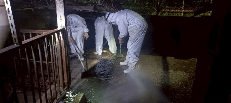 台中非洲豬瘟案場清消後,2區域仍驗出病毒DNA;台中市長盧秀燕28日在市政會議中表示,農業局已派員前往現場連夜清消到凌晨,並全面封鎖