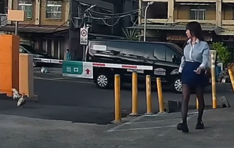 高雄一間停車場有日本矮雞徘迴,盯著漂亮女業務看。(圖/翻攝自Threads @yian422)