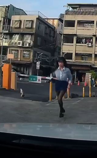 漂亮女業務和日本矮雞對到眼後,矮雞隨即攻擊,讓女業務嚇得逃到車內。(圖/翻攝自Threads @yian422)