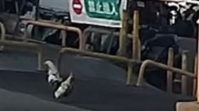 （圖／翻攝自Threads @yian422）