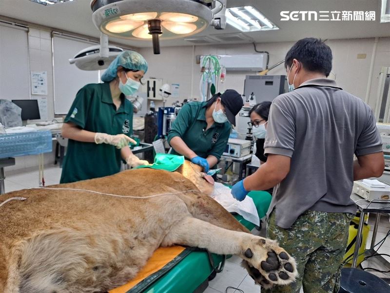 儘管醫療團隊全力協助,「大姊」的病情仍在短時間內急轉直下。(圖/翻攝畫面)