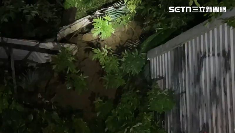 南港土石流百年老樹跟滑落…他:回不了家