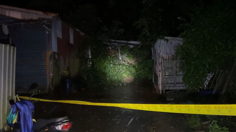 一顆150年老樹因土石流滑落壓到一間鐵皮屋。(圖/翻攝畫面)