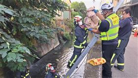台中潭子，水溝，驚見棄嬰，死亡，臍帶未斷，生母，外籍女子(圖／翻攝畫面)