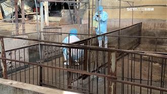 特約獸醫師再發文:明年不再跟畜牧場簽約