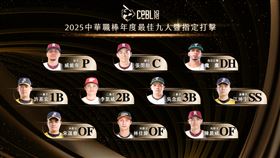 中華職棒最佳九人暨最佳指定打擊獎項名單。（圖／中華職棒提供） 