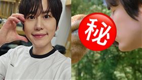 官方釋出預告片，圭賢最後一幕畫面超衝擊，嚇壞大批網友。（圖／翻攝自圭賢IG／出差15夜 IG）