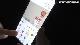 LINE,貼圖,聊天,LINE貼圖,熊大。（圖／資料照）