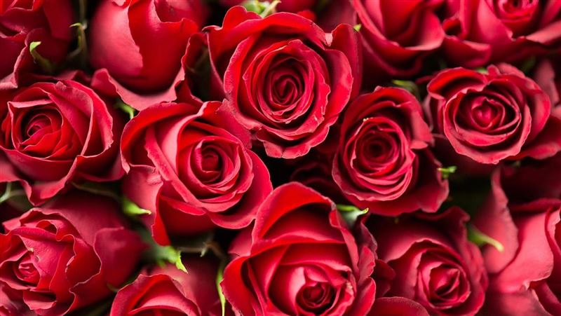 男女網紅餐廳行竊 花海中先激戰…全被拍