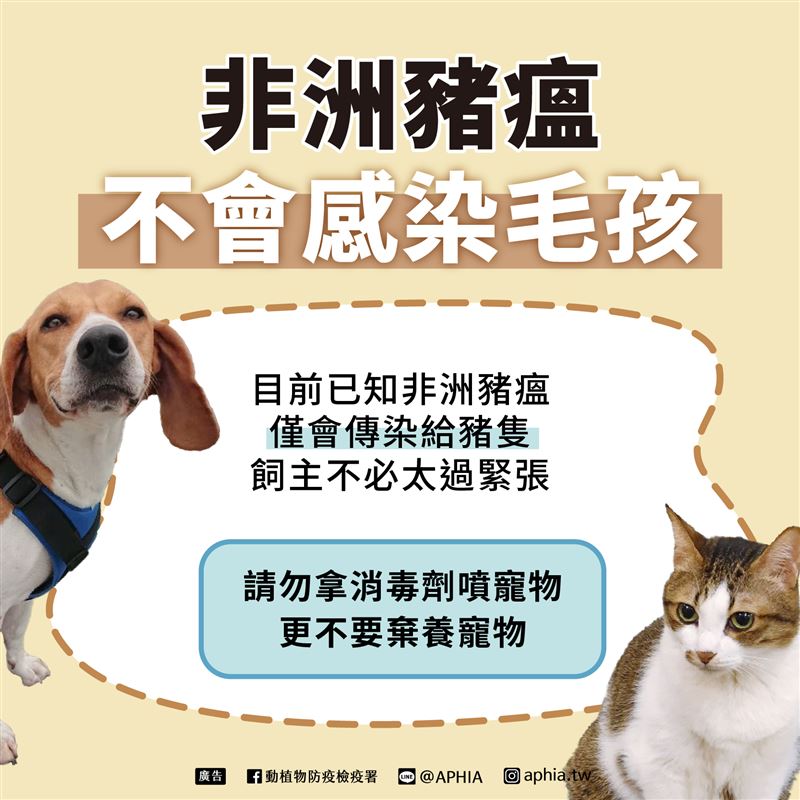 防檢署說明，非洲豬瘟不會傳染到牛、羊、雞身上，寵物貓、狗也不會染病。（圖／農業部動植物防疫檢疫署）
