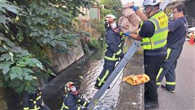 台中潭子，水溝，驚見棄嬰，死亡，臍帶未斷，生母，外籍女子(圖／翻攝畫面)