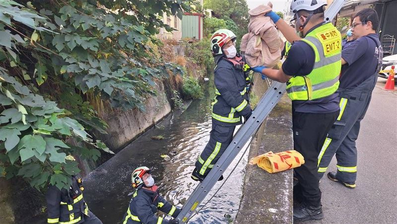男嬰出生被丟排水溝…母落網竟這樣辯稱