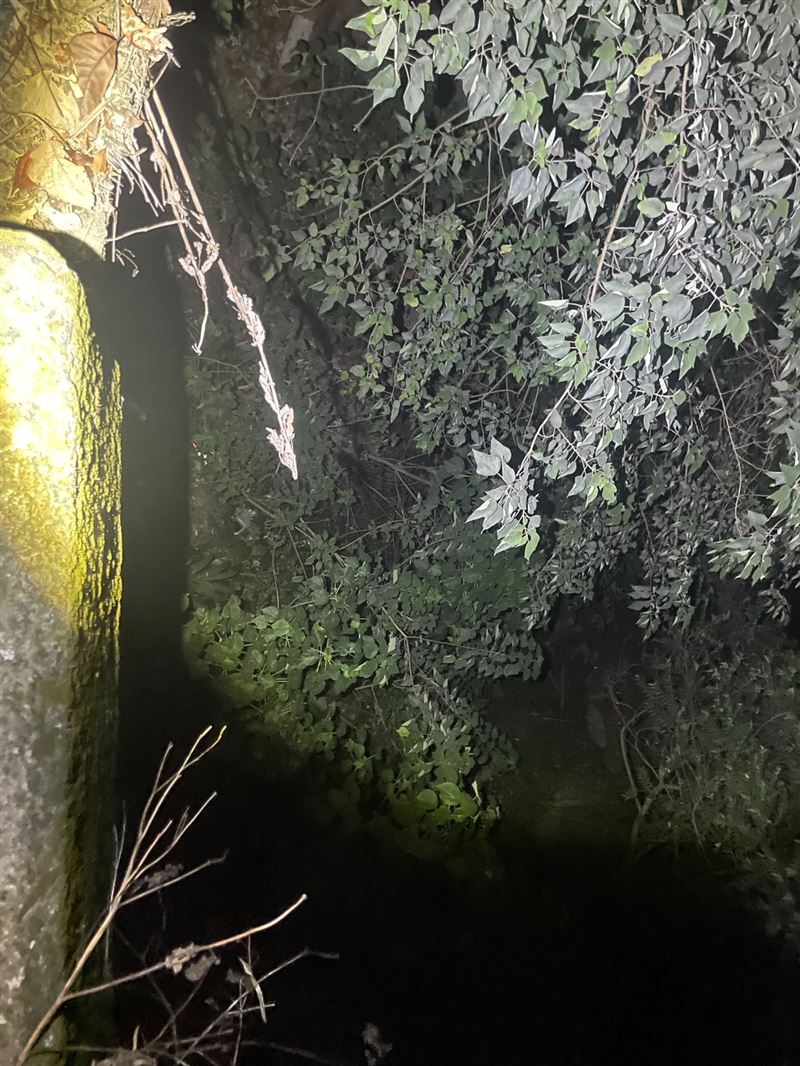 19歲女大生翻落路外邊坡。（圖／翻攝畫面）