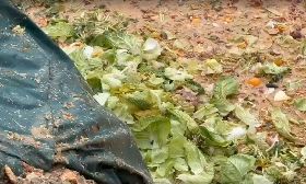 台中霧峰廚餘掩埋場　生熟廚餘混雜倒入