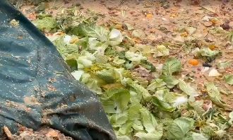 台中廚餘海覆土又出包?鄭照新:絕對合規