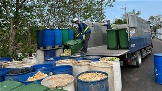 竹縣防堵非洲豬瘟新政策　不收「這1物」