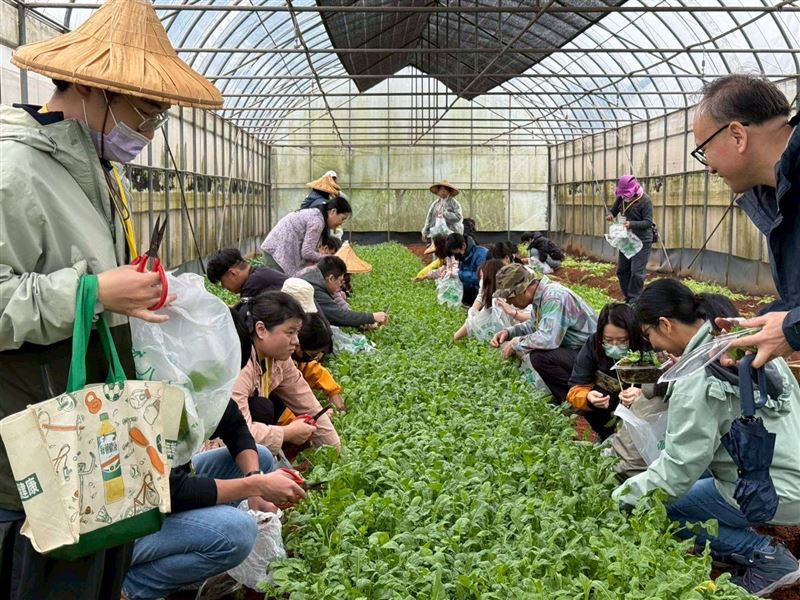 桃園市環保局28日於去年通過環教認證的第31處設施場域「台塑楊梅有機農場」,舉辦「環教創意行銷AI應用交流工作坊」。(圖/桃園電子報提供)