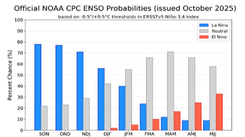 今年冷冬機率高　林得恩曝1關鍵原因