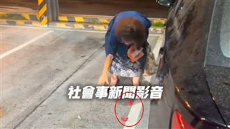 大媽擲筊問：布丁在哪？鬧210秒原來在這