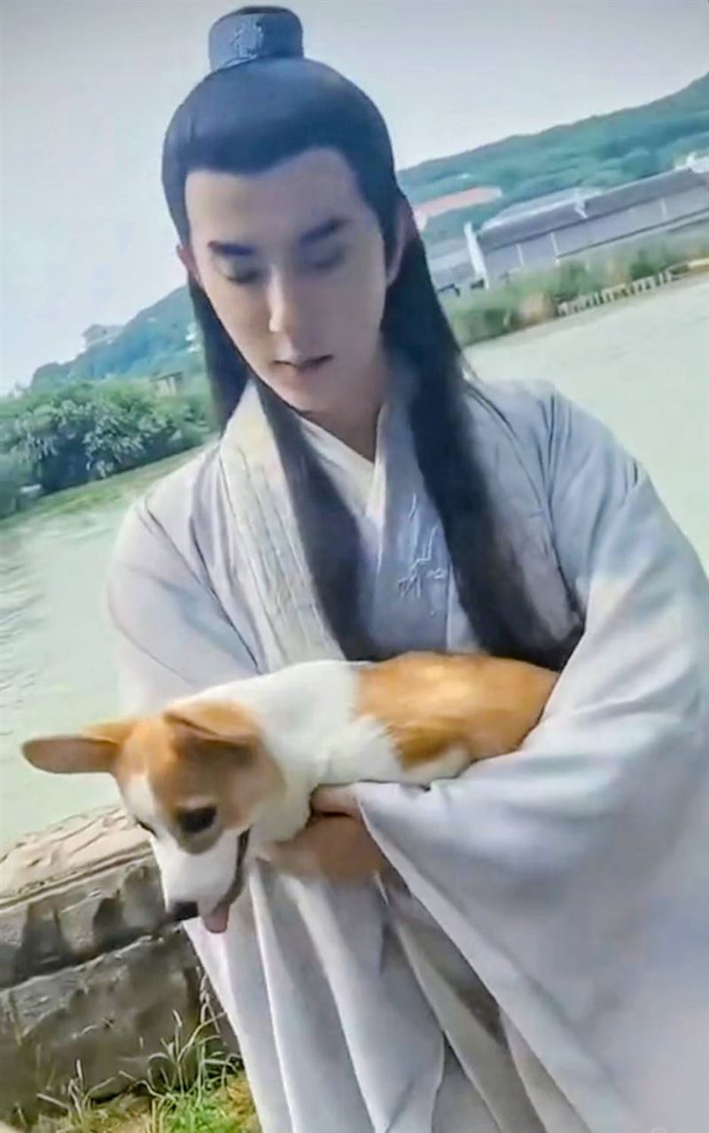 于朦朧連拍戲、上通告，都會帶著福麗同行。（圖／翻攝自微博）