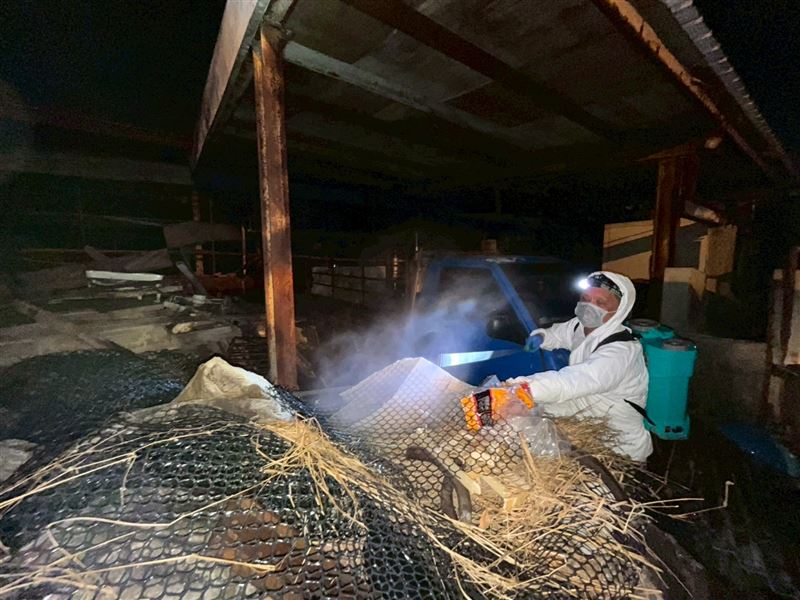 非洲豬瘟病毒頑強,中央派出國防化學兵連夜協助清理案例場。(圖/台中市政府提供)