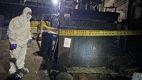 新北市府農業局昨天（30日）至泰山區一處養豬場稽查，發現場內放置含廚餘的桶槽，且廚餘蒸煮槽中仍有廚餘，已違反動物傳染病防治條例及飼料管理法