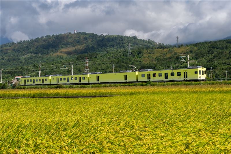 上帝遺忘在花蓮的金色禮物曝光了!攝影師林建邦拍的《池上秋收》天堂美如仙境震撼國際。(圖/攝影師林建邦提供)
